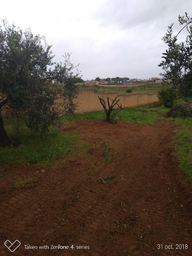 Villa Vacanze Giuseppe Mazara del Vallo Eksteriør bilde